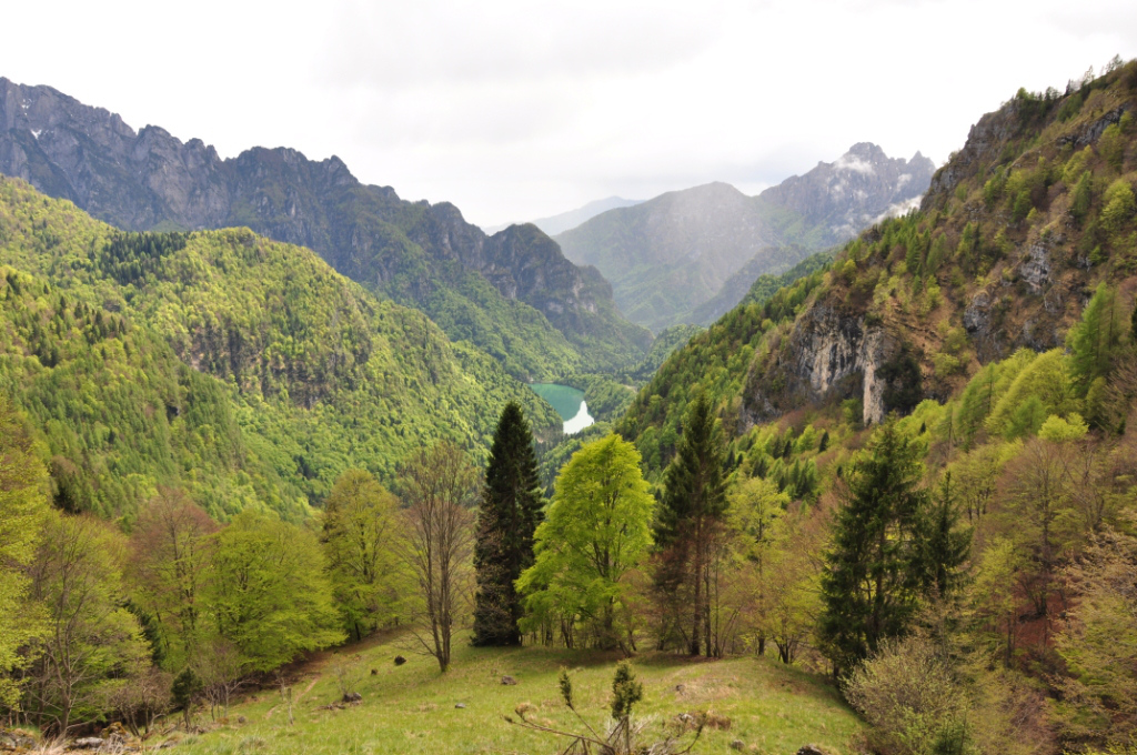Parco delle Dolomiti Bellunesi